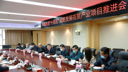 華潤水泥“十四五”戰略發展在賀產業項目推進會圓滿舉行，賀州政企合力共繪發展藍圖